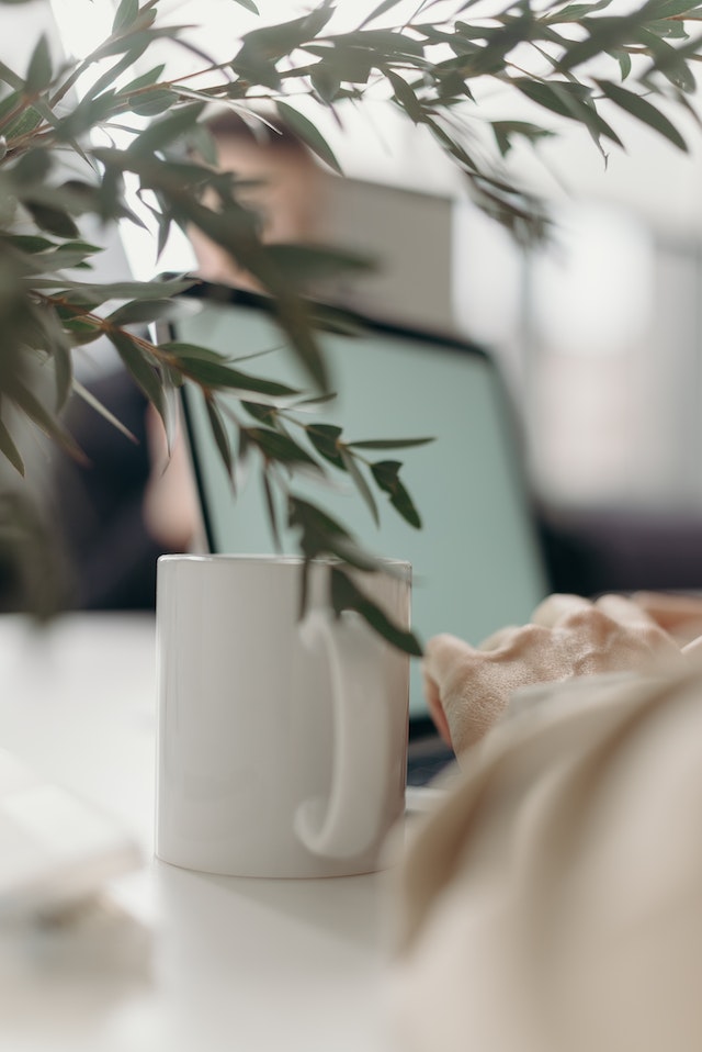 pexels-cottonbro-studio-4065895